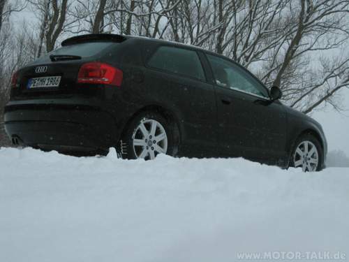 Winter-031