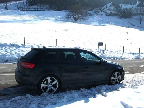Bild-3