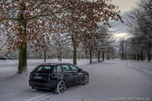 Winter-2