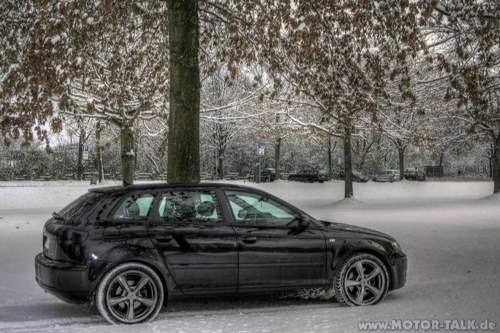 Winter-3