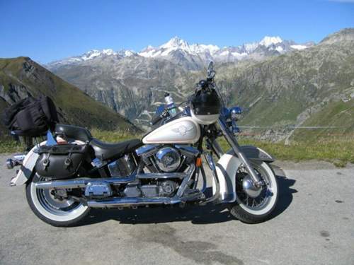 Img-0081