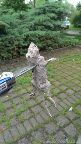 Imag0431