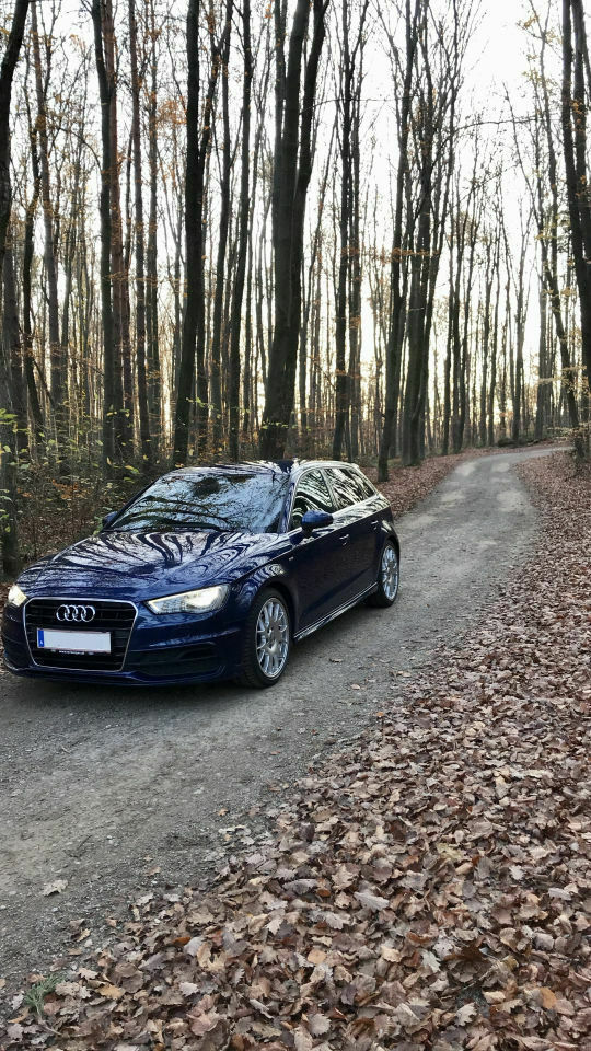 Zeigt her eure Felgen auf dem Audi A3 8V