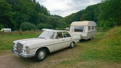 Mercedes mit Wolf 390