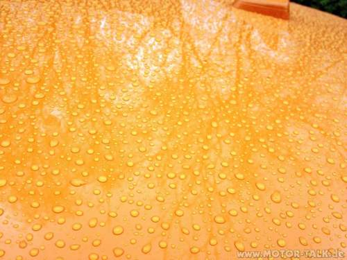 Snh-regenbeading-nach-1-woche-laternenparken