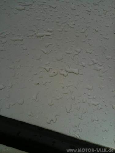 Img-0538