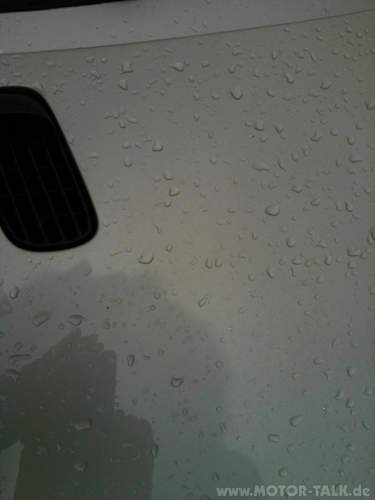 Img-0537
