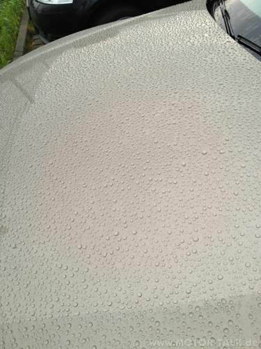 Img-1244