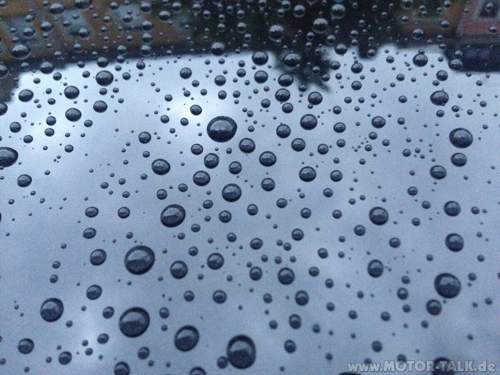 Img-1427