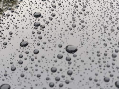 Img-20241001