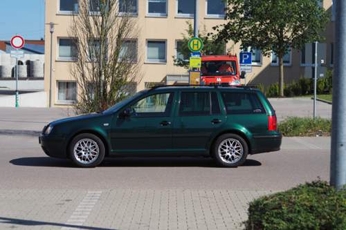 Seitenlinie