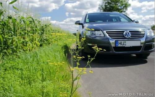 Bild-5