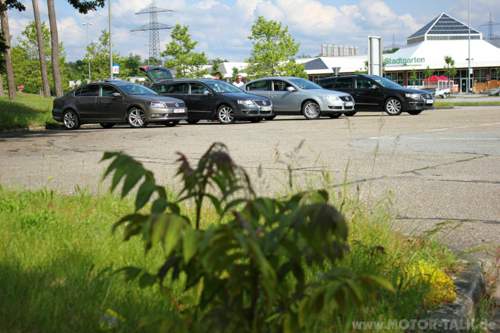 Img-7904