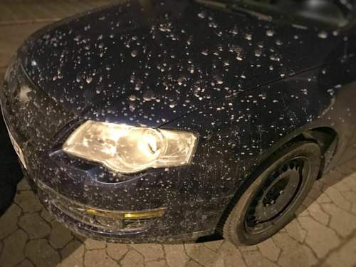 Img-3679