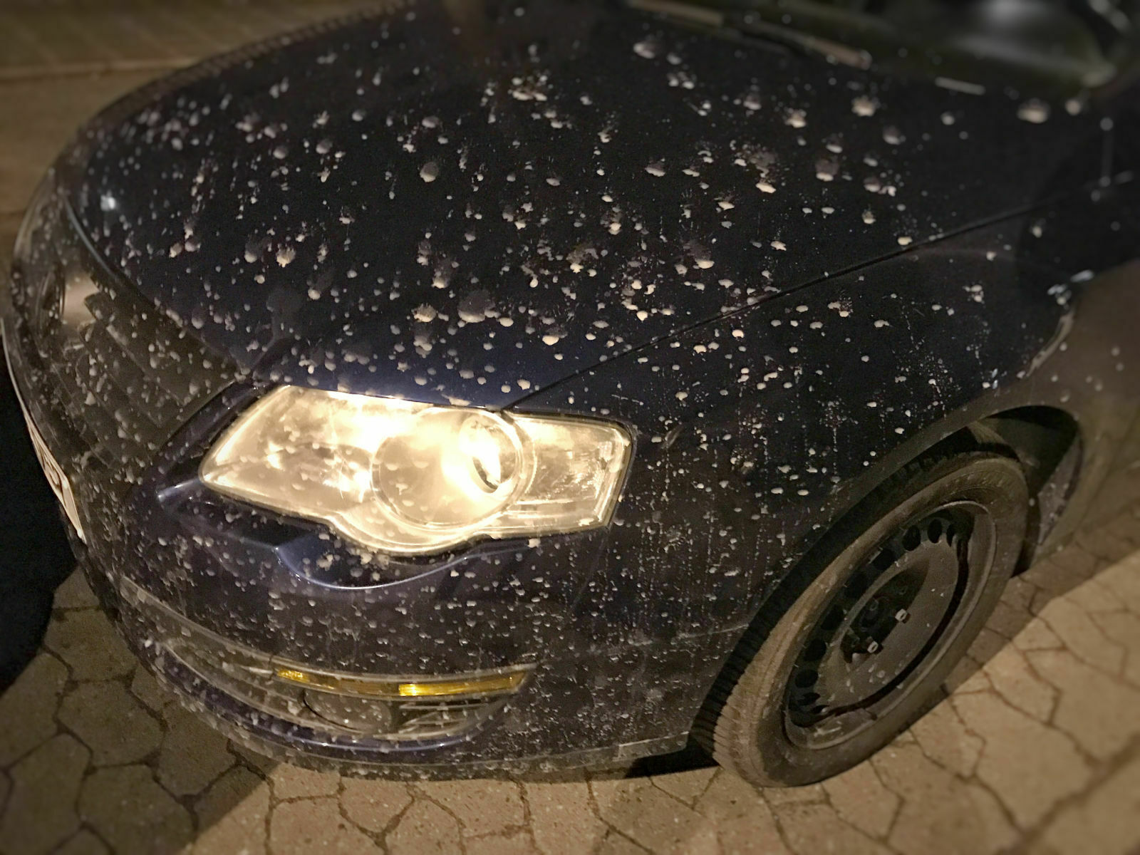 Zeigt her eure Passat 3C Schätze..
