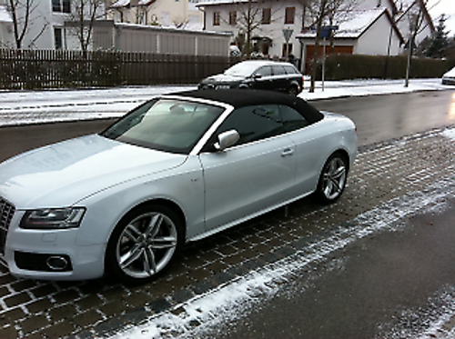 Bild-2