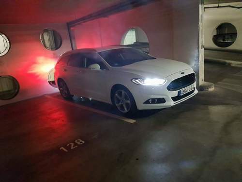 Frost White