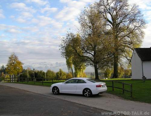 Bild-3