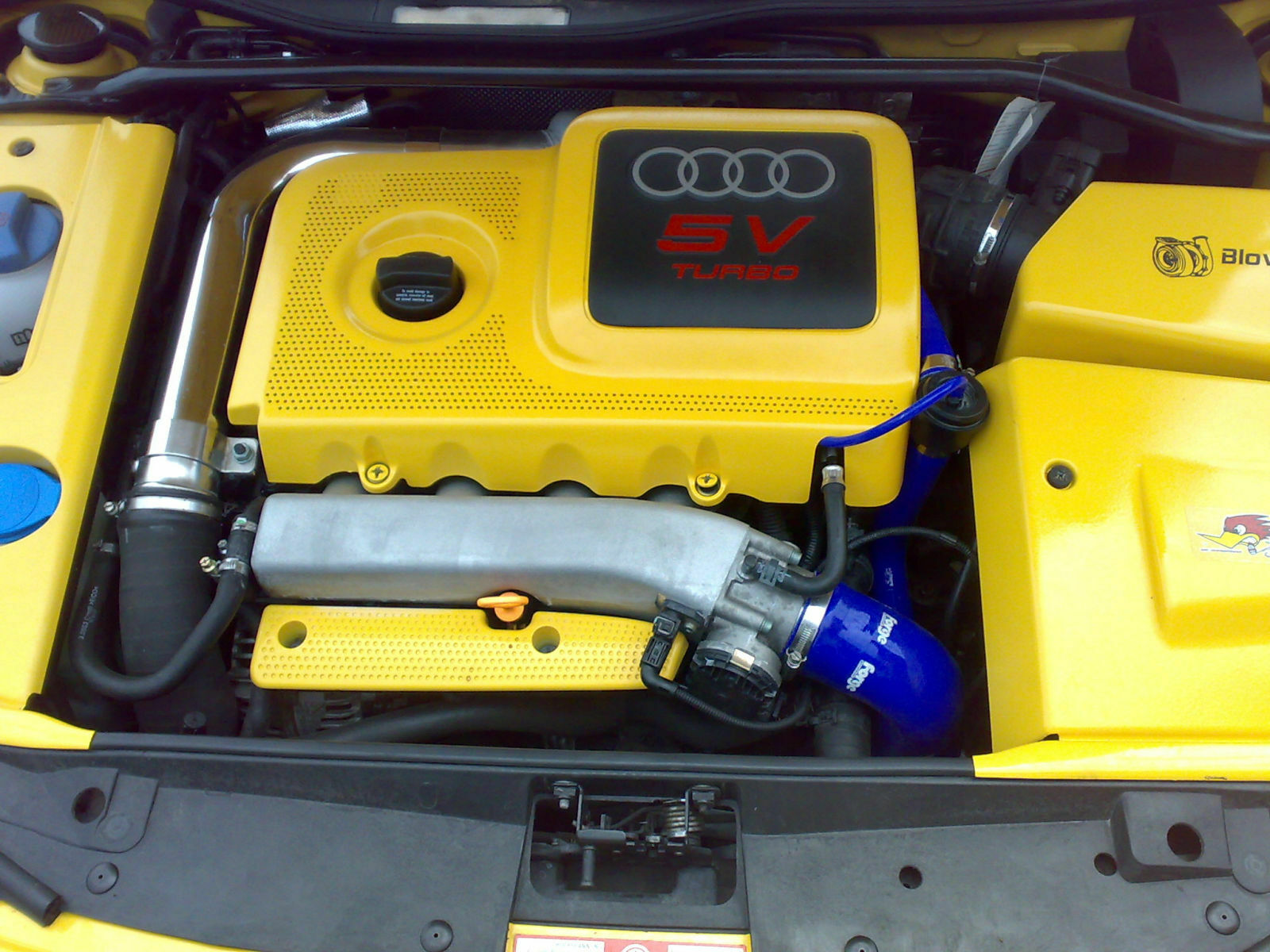 Zeigt mal eure Audis her!