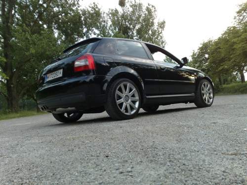 Bild-3