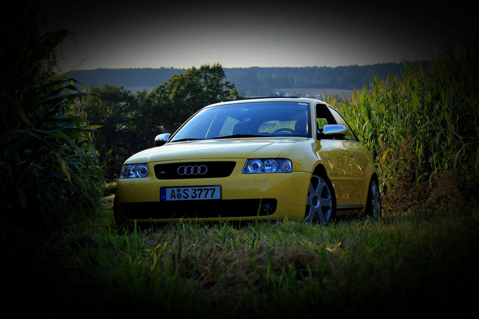 Zeigt mal eure Audis her!