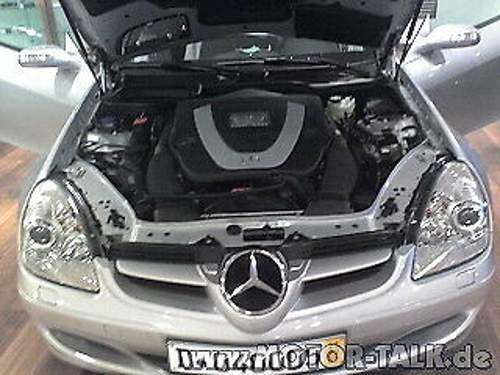 Slk-1