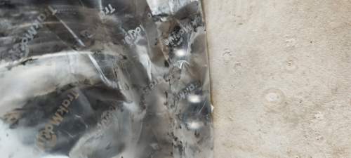 Img-20230322