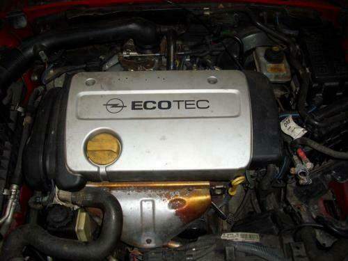 Motor