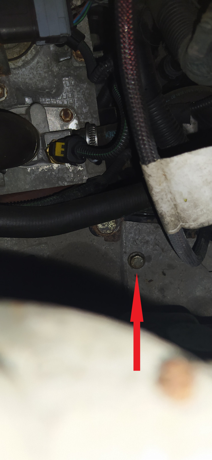 Zig probleme mit ford ka ru8 08/09