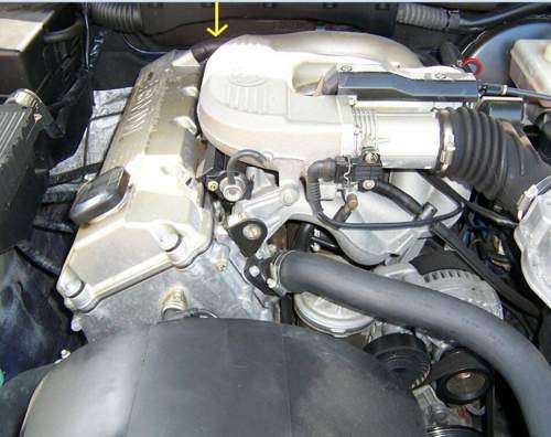Image1