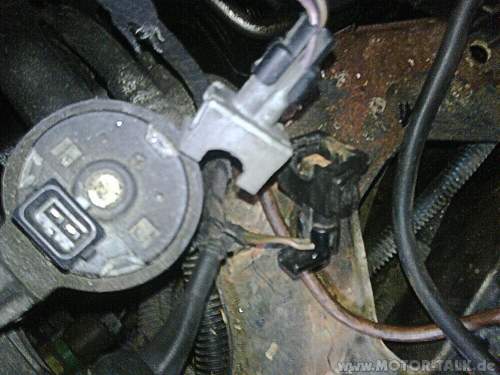 Stecker