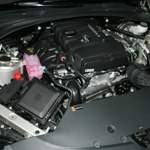Img-6488