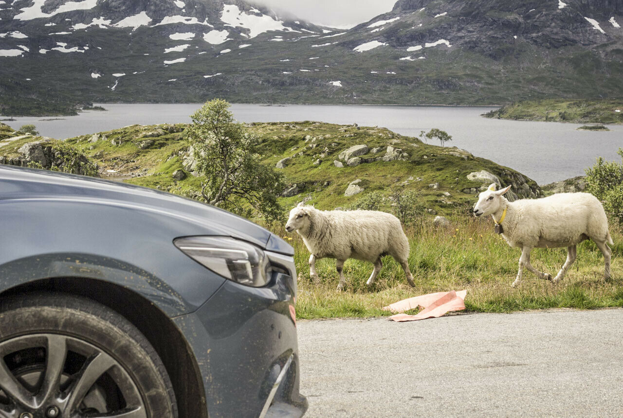 Nutzertest: Die MT-Youngsters auf großer Fahrt mit dem Mazda6 von Berlin bis Norwegen