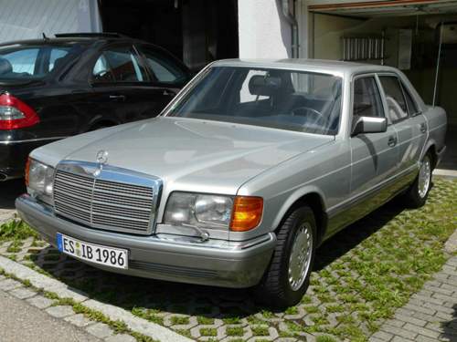 W126-gullis-p1000130