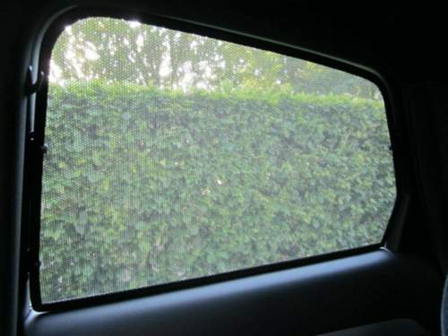 Img-3204a