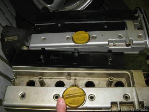 Img-4844