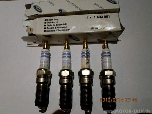 Img-0263