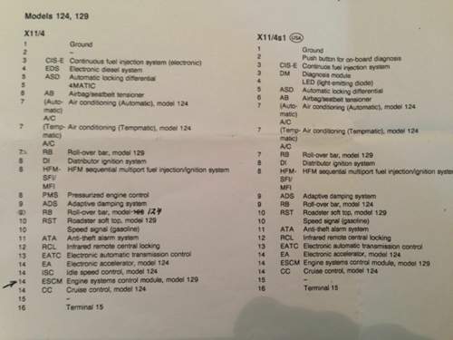 Img-3168
