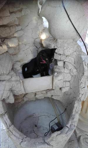 Coco-am-brunnen