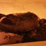 Freundin kuscheln!