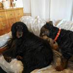 Freundin kuscheln?