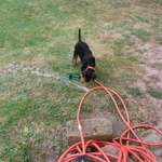 Jack zu Hause