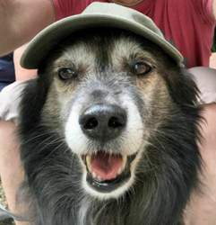Spencer-cap
