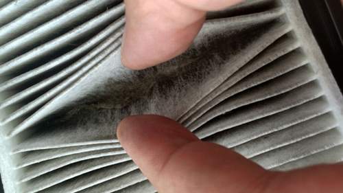 Img-0734
