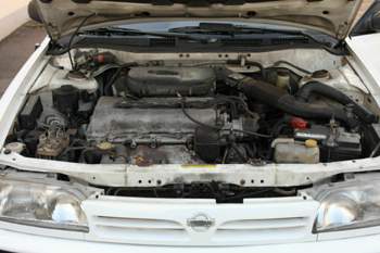 Img-6943