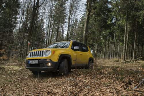 Der Jeep Renegade im Wald