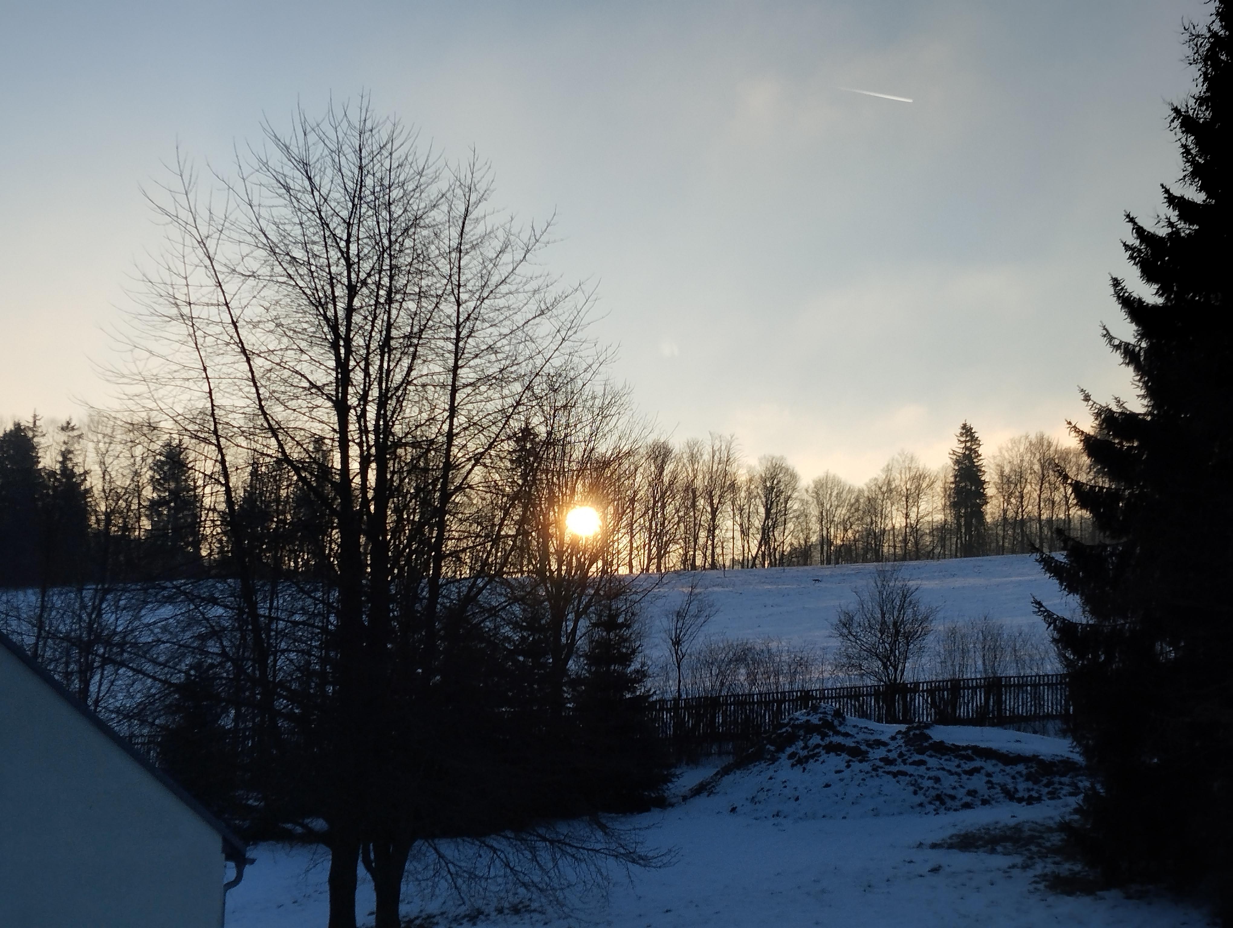 IMG_20250117_084109.jpg