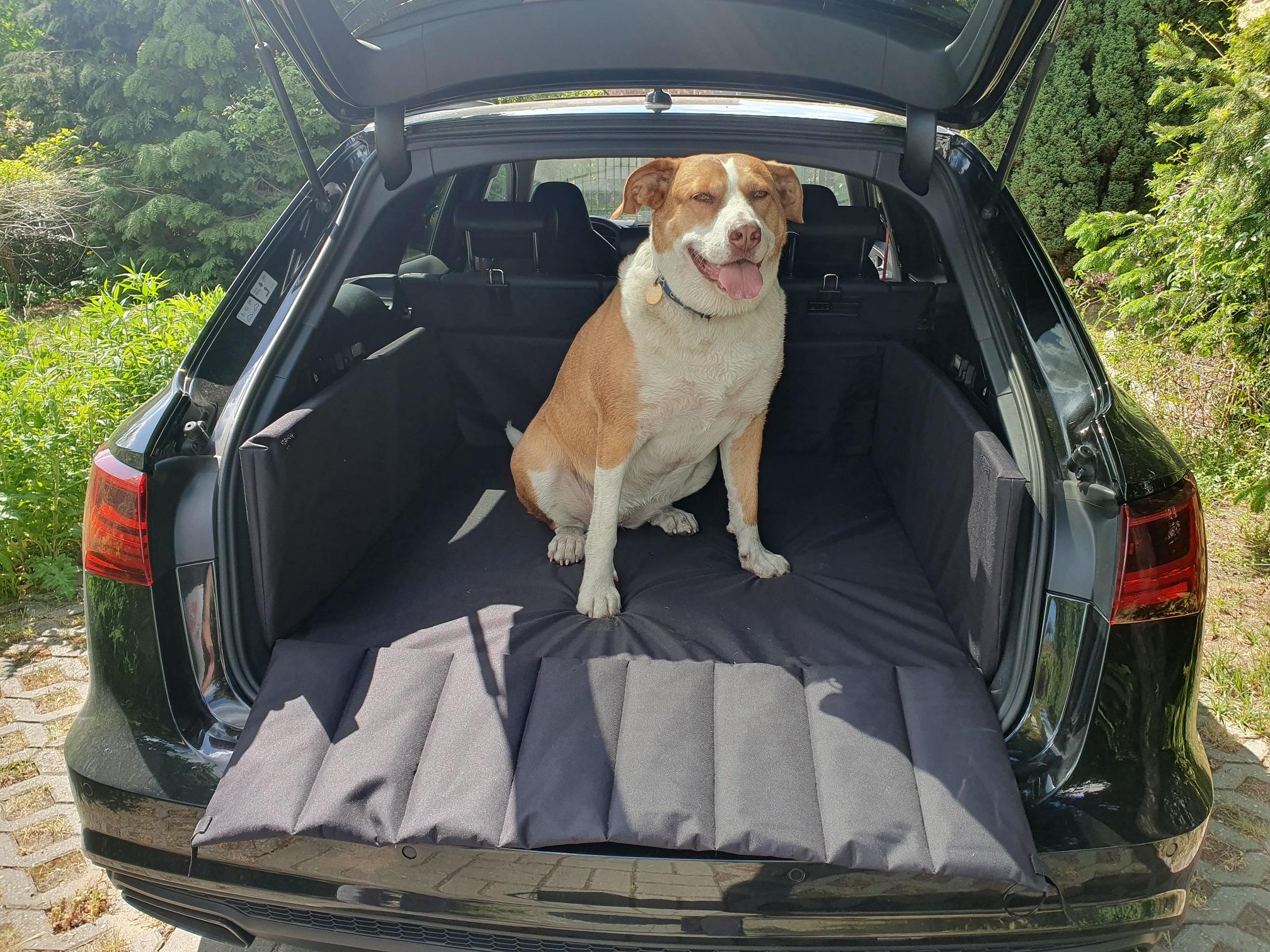 Hund im Auto ….wie transportiert ihr ihn?