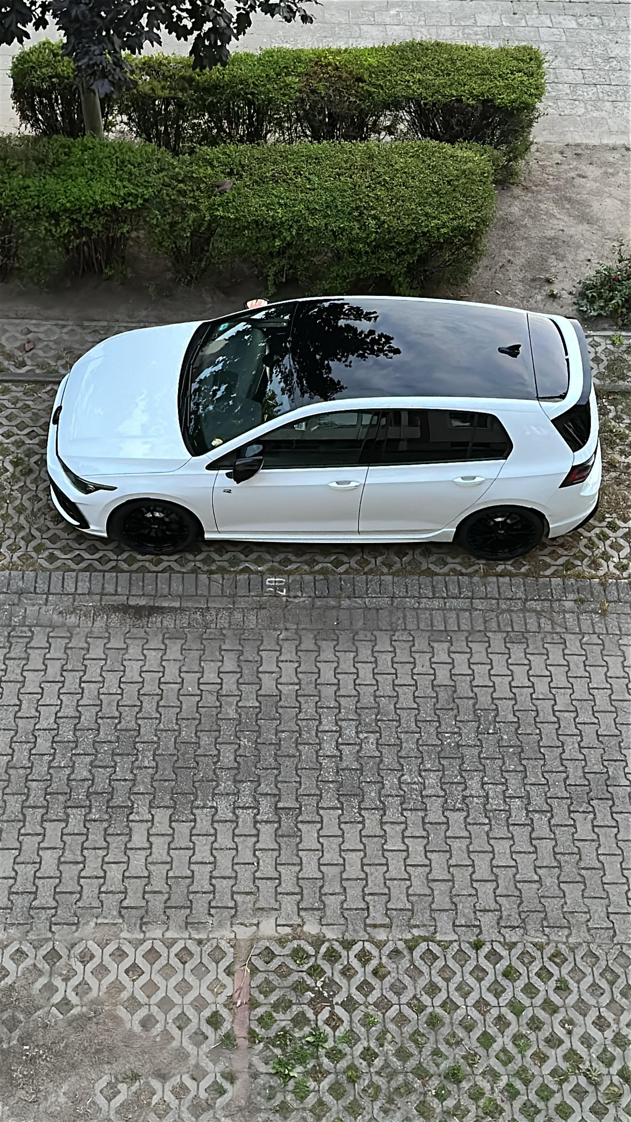 Der Polo MK6 GTI-Thread