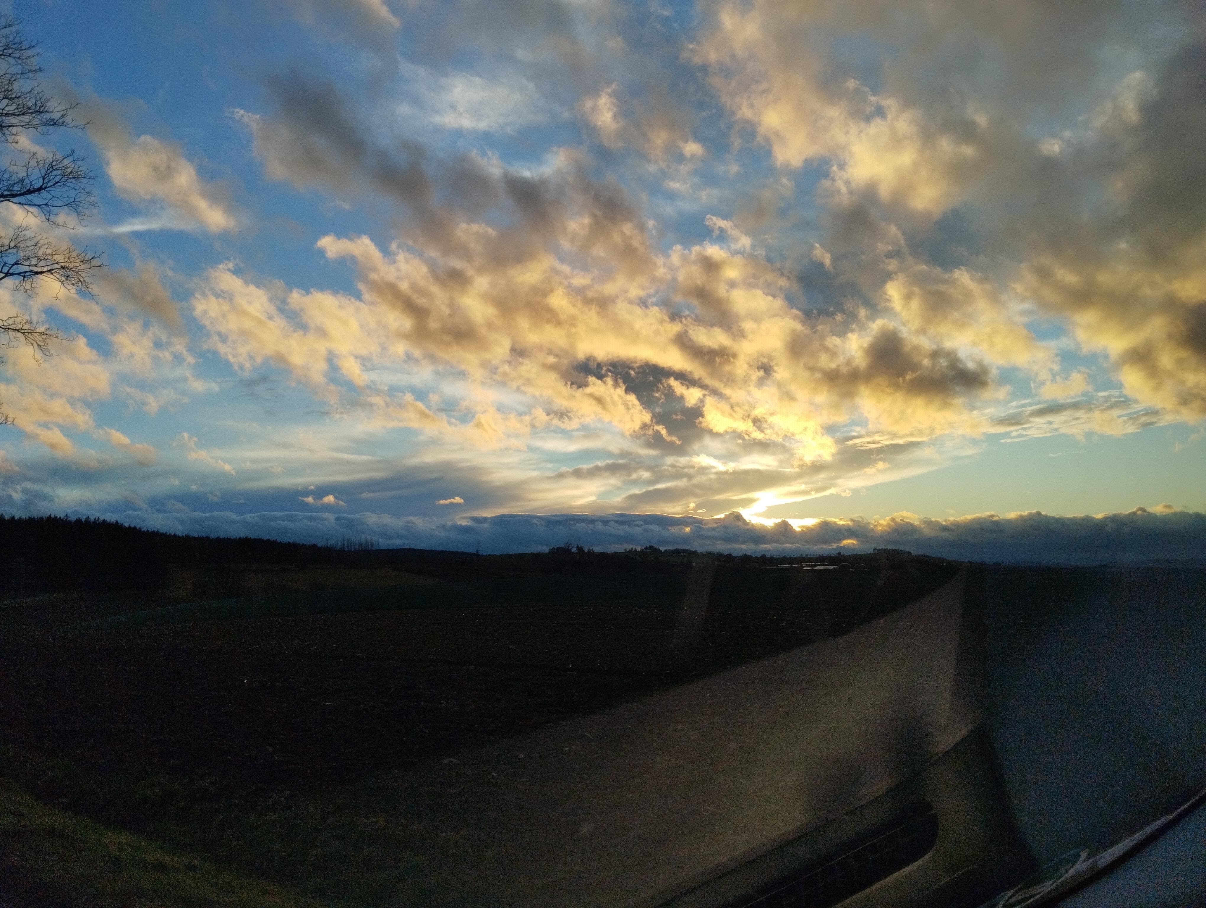 IMG_20241219_153943.jpg